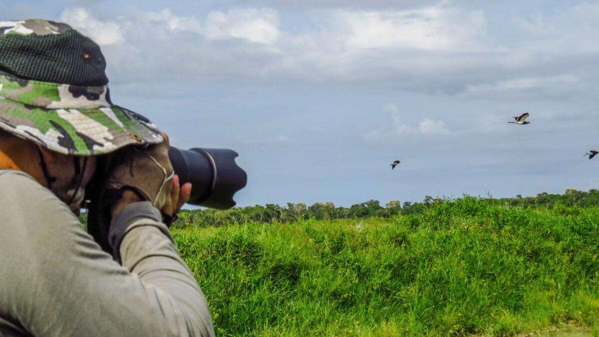 Siete consejos para iniciarse en la observación de aves