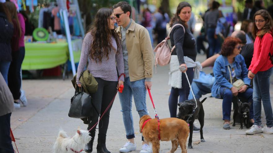 &quot;Vemos a diario las barbaridades que se hacen con los animales&quot;