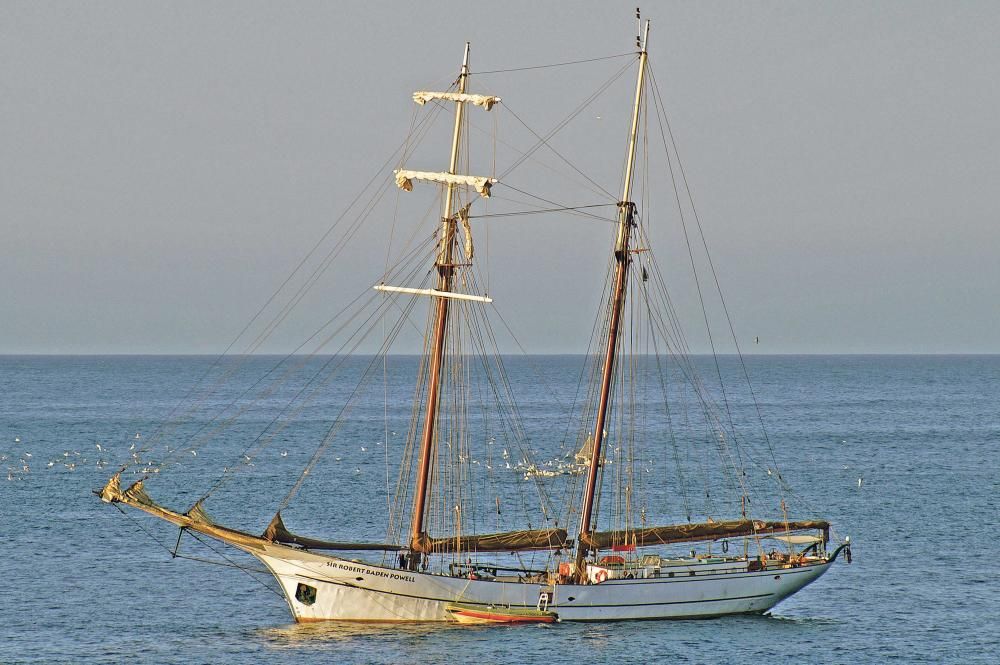 Grandes veleros surcan las aguas palmesanas