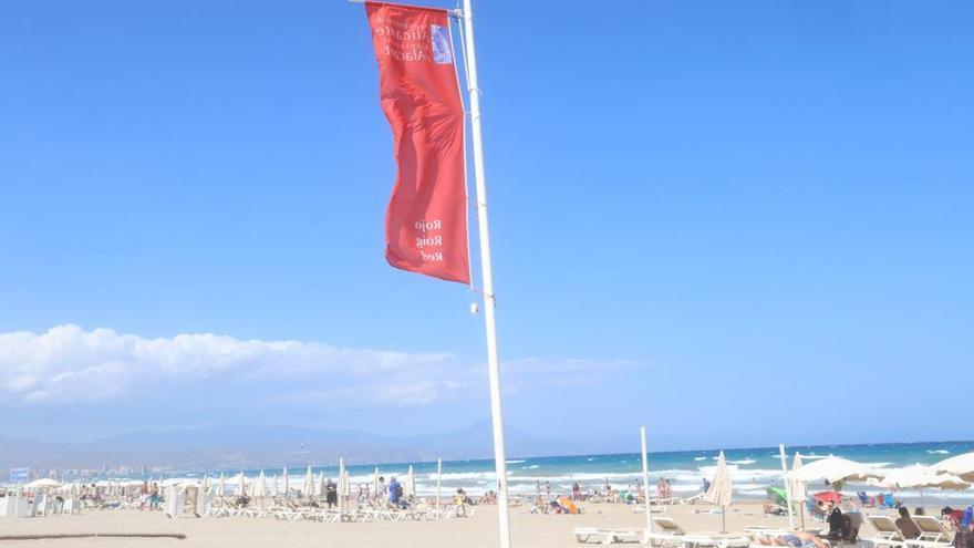 Pánico en la playa de San Juan de Alicante por un tiburón que resultó ser una boya