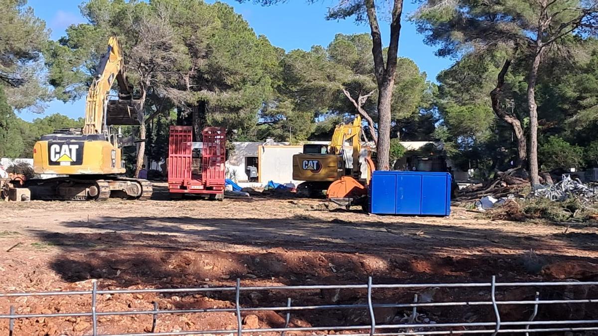 Imagen de la tala en el camping de es Canar