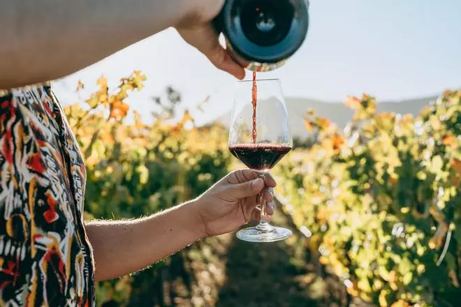 La Ruta del Vino del valle de Colchagua: cultura y tradición chilena