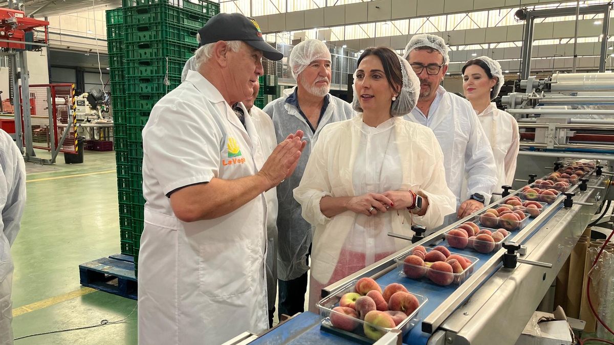 La consejera Sara Rubira en la cooperativa La Vega de Cieza donde se trabaja en la campaña de fruta de hueso.
