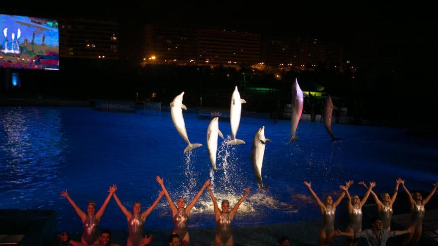 Las Noches del Oceanogràfic brillan con luz propia