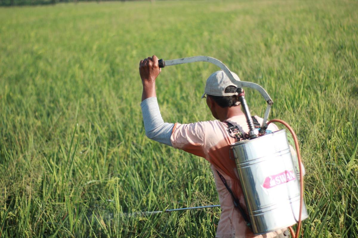 Pesticidas y párkinson: una conexión fuera de toda duda