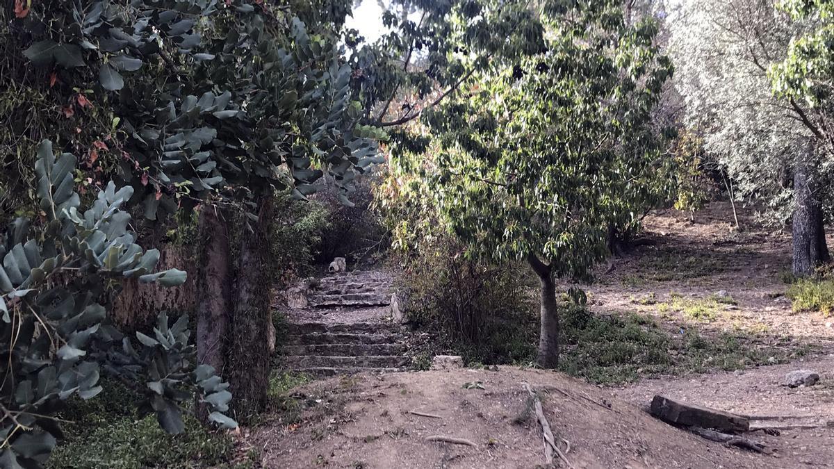 Escaleras entre pinos y adelfas en los terrenos contiguos al albergue Barcelona Xanascat.  