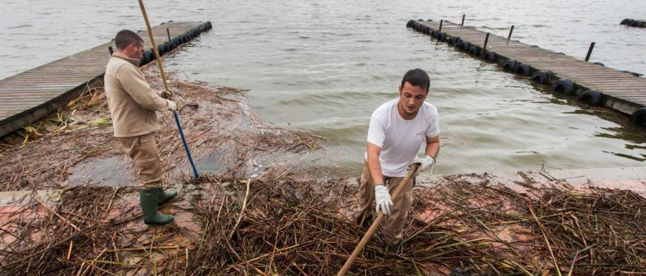 Champagne y calentamiento global: El cambio climático empieza en El Palmar