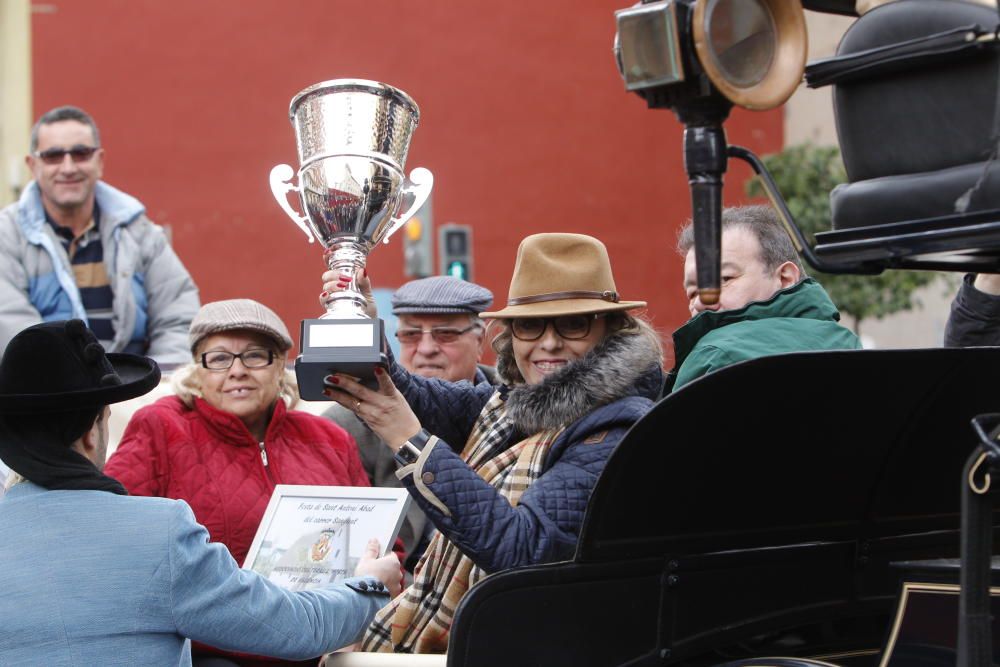 Sant Antoni en Valencia 2017