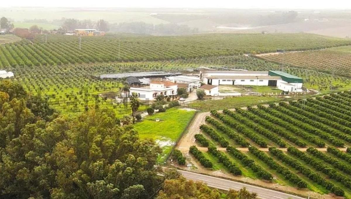 Cortijo cerca de Hornachuelos