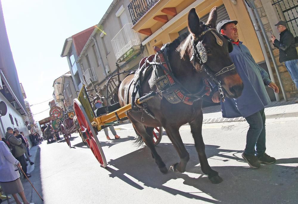 Festa de Sant Antoni de Sant Vicenç de Castellet