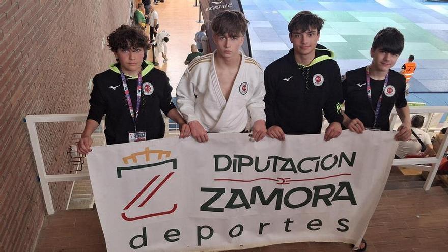 El judo zamorano no para y sigue consiguiendo resultados