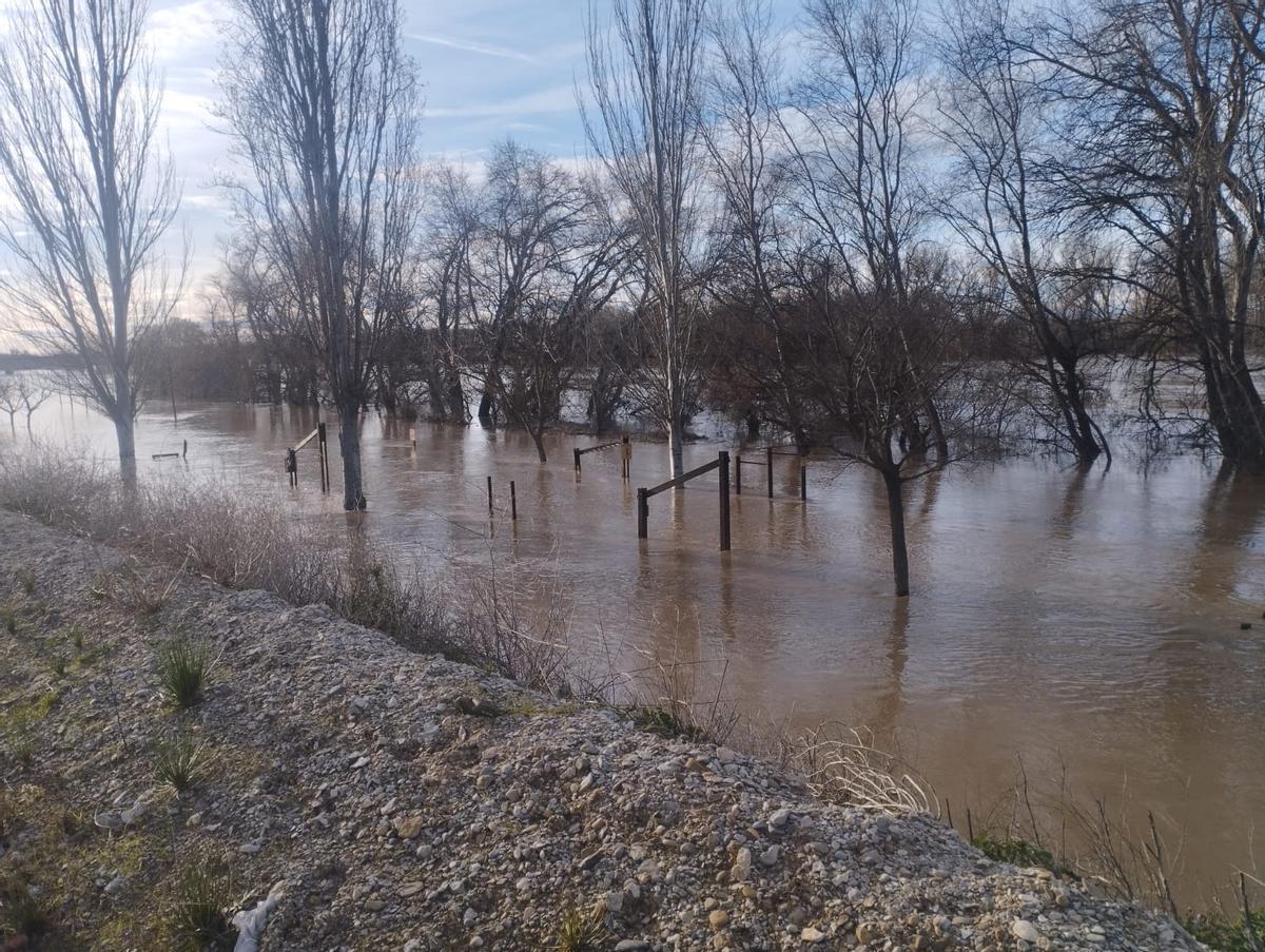 El río Ebro a su paso por Pradilla, este lunes.
