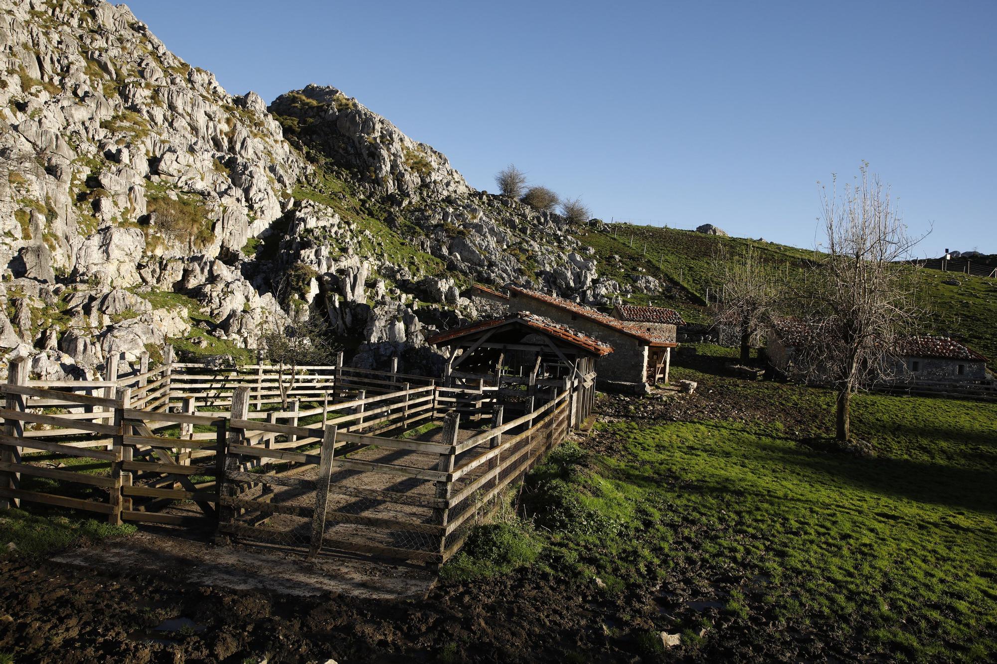 La majada de Belbín (Onís).