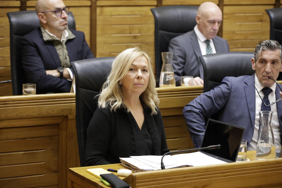 Sara Álvarez Rouco, portavoz y única edil de Vox.