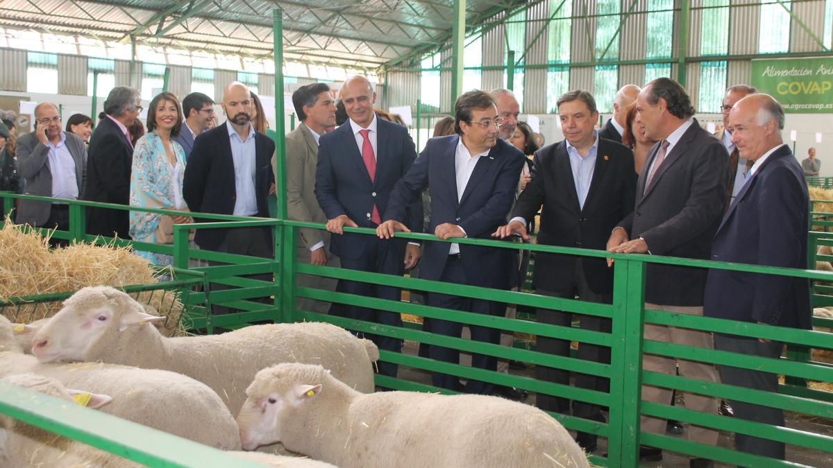 Vara y Planas en la nave de ovinos conversan con representantes de las asociaciones ganaderas, con José Luis Urquijo, presidente de RFEAGAS a la derecha.