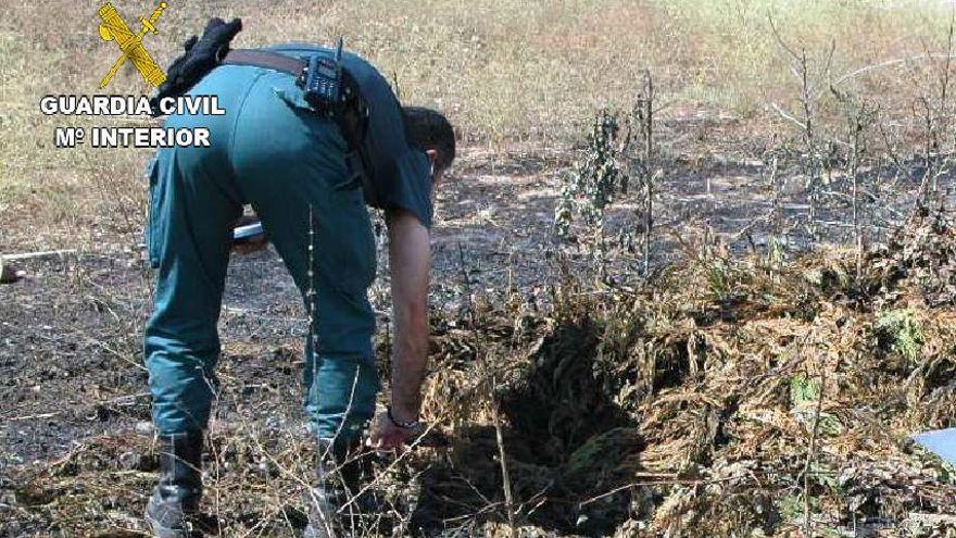 Un guardia investiga la zona del incendio