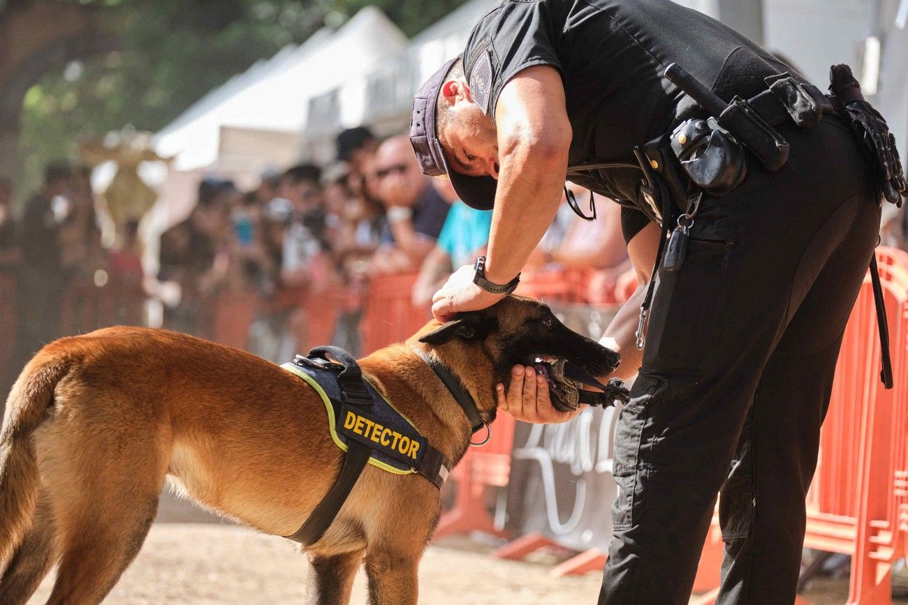 Día de los Animales en Santa Cruz
