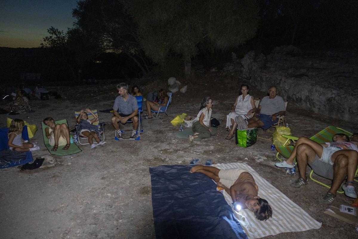 Las Perseidas en Mallorca, así se han visto desde Son Fornés