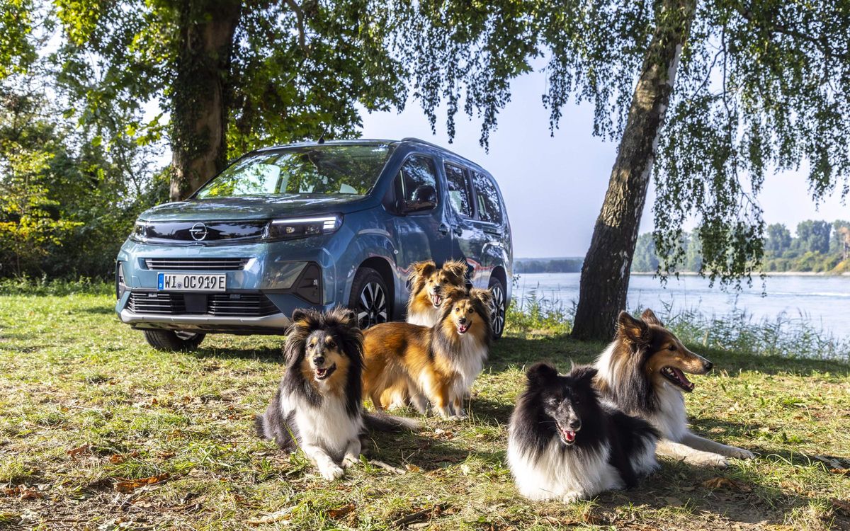 Opel Combo Electric: Ideal para viajar con tu mascota