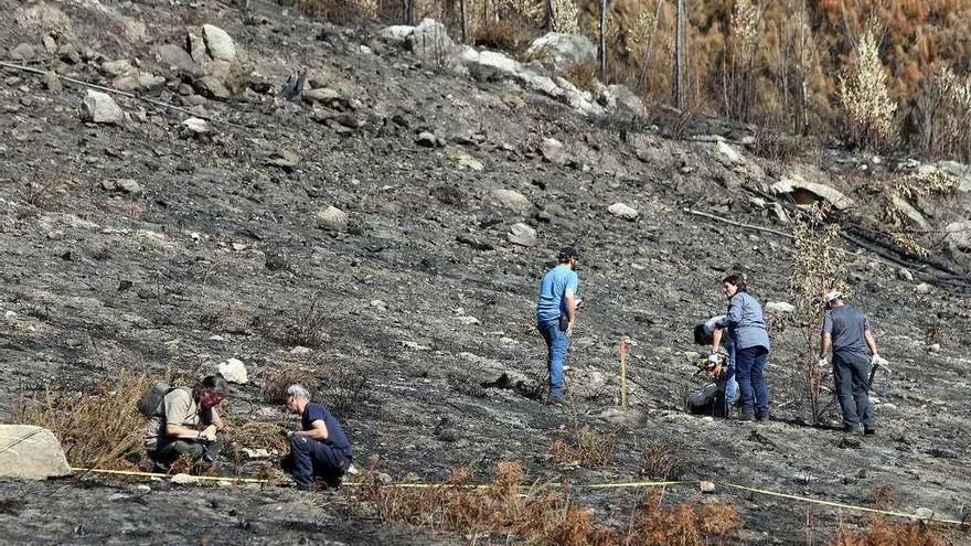 Técnicos de Medio Rural analizan el suelo quemado en un monte de Ventosela, en Redondela. // Marta G. Brea