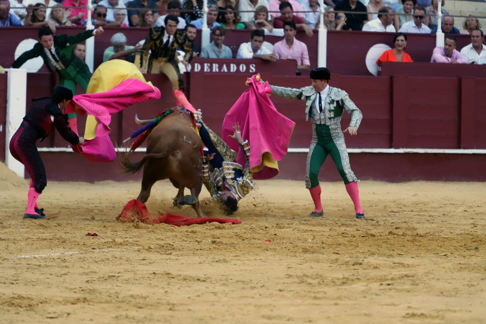 Las imágenes de la cuarta corrida de abono en La Malagueta y de la cogida de Jiménez Fortes