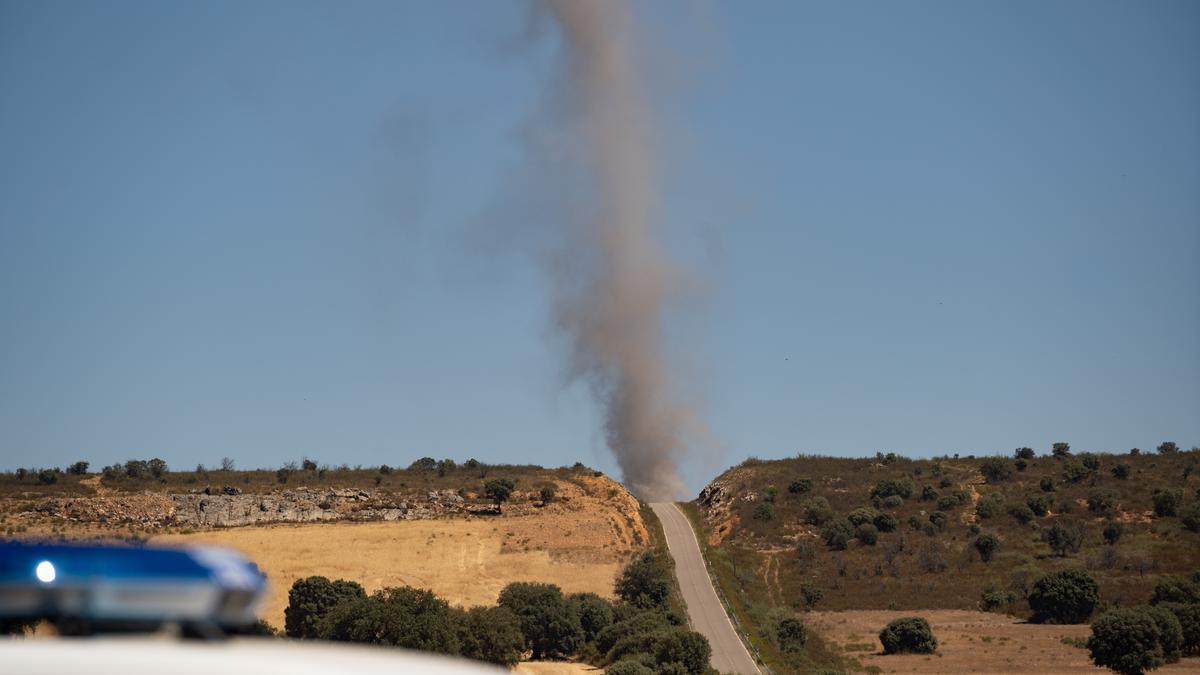 ZAMORA. Tras el incendio de Vegalartave, en la parte afectada en Losacio