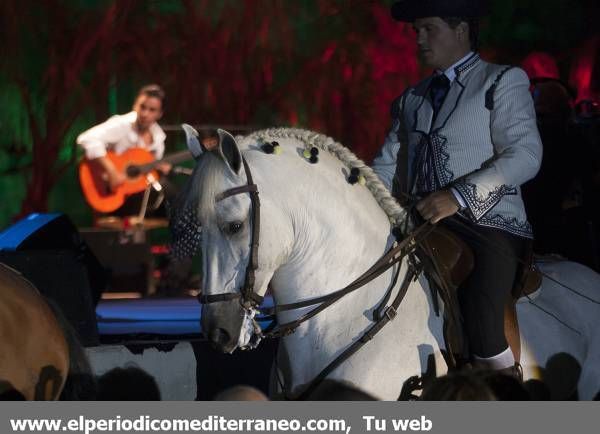 GALERÍA DE FOTOS - La actuación de Pedro Navarro despierta pasiones en la Vilavella