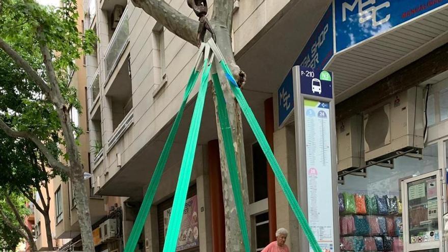 Instalación de plataformas en las paradas.