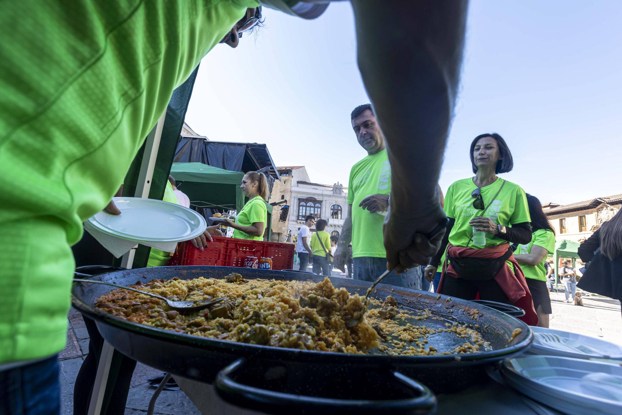 EN IMÁGENES: V Media Maratón Verde en Oviedo