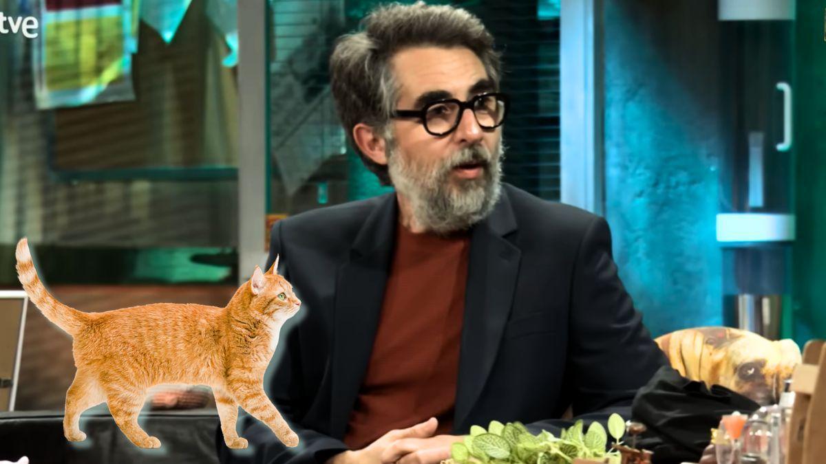 La complicada relación de Berto Romero con su gato