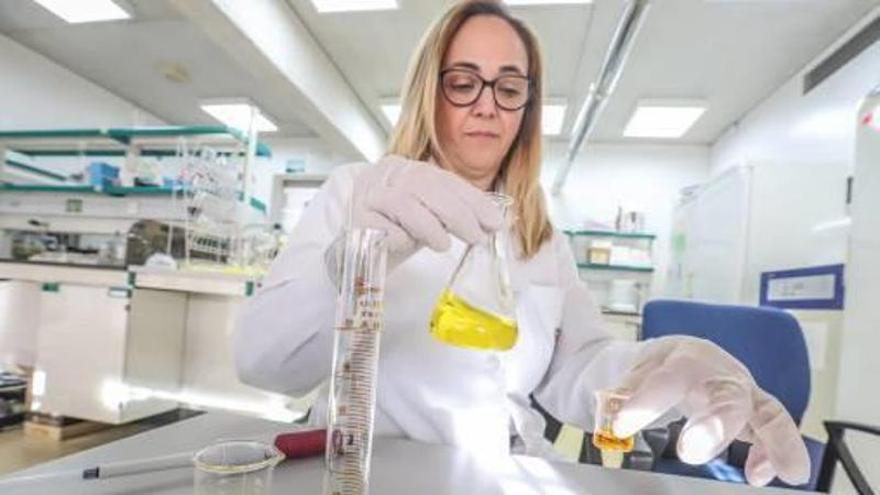 La investigadora de la UMH María José Frutos, al frente del proyecto dedicado al azafrán, en su laboratorio de la Politécnica de Orihuela.