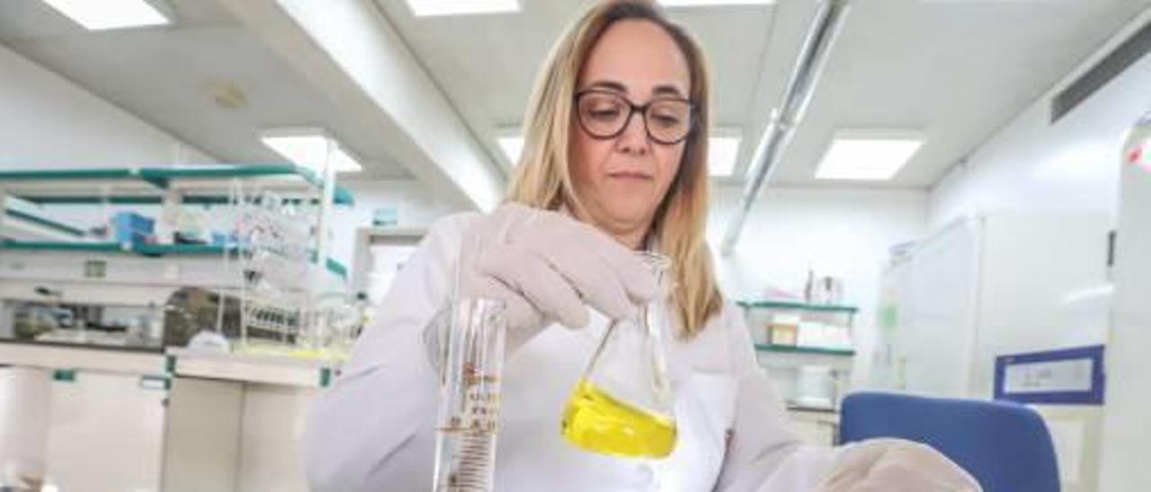 La investigadora de la UMH María José Frutos, al frente del proyecto dedicado al azafrán, en su laboratorio de la Politécnica de Orihuela.