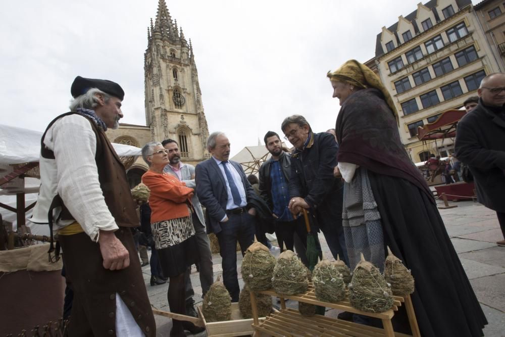 Feria de La Ascensión en la plaza de la Catedral de Oviedo