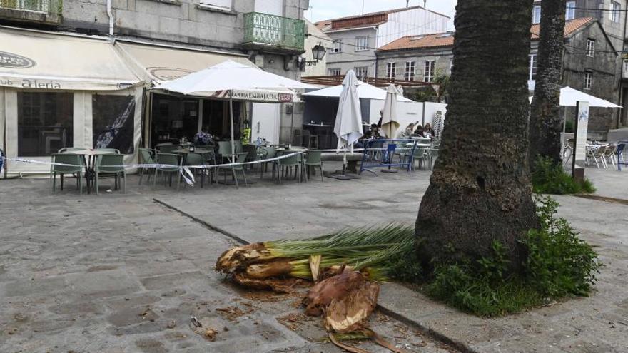 Las ramas que se desprendieron sobre la terraza. |   // PABLO HERNÁNDEZ