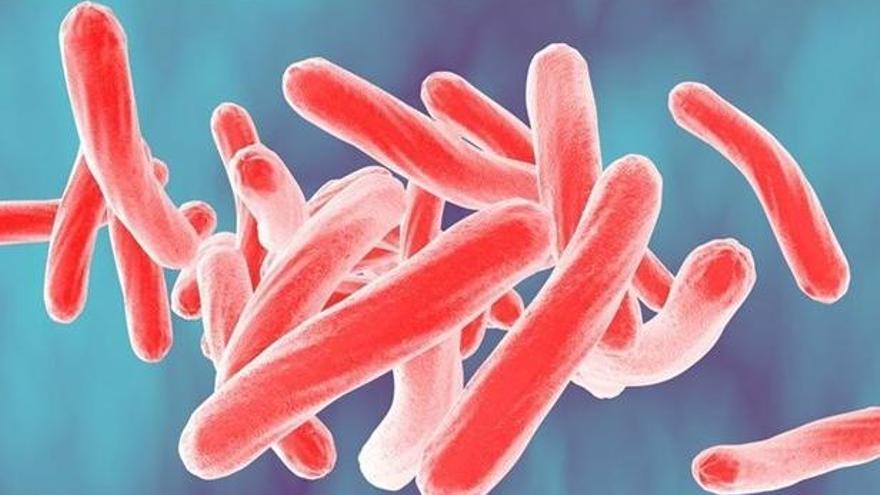 La tuberculosis, un problema de salud pública importante