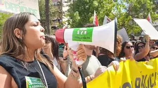 Ampas Torrevieja acusa a "malos docentes de adoctrinar" a los alumnos para secundar la huelga
