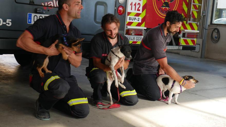 Los bomberos, con la adopción de mascotas