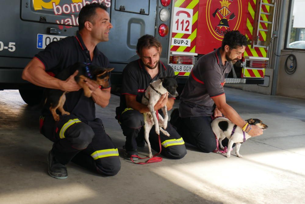 Los bomberos, en la campaña con las mascotas.