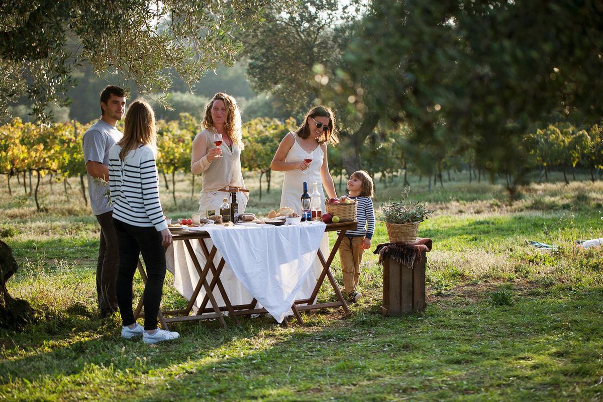 Una cata de aceites singular bajo los olivos de Ventalló