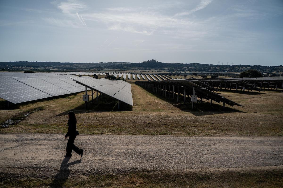 Fotogalería | Las imágenes del acto de inauguración de la mayor batería de almacenamiento de energía de España
