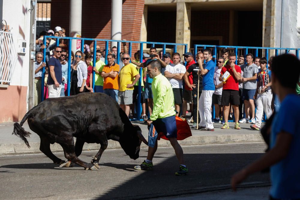 Encierro Urbano Bóveda de Toro