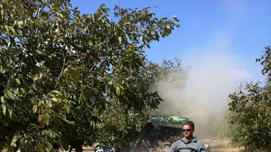 La Finca Las Lomas, situada en el término municipal de Antequera, cuenta con plantación de nogales desde 1992.