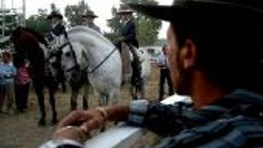 Córdoba quiere ser referente del caballo