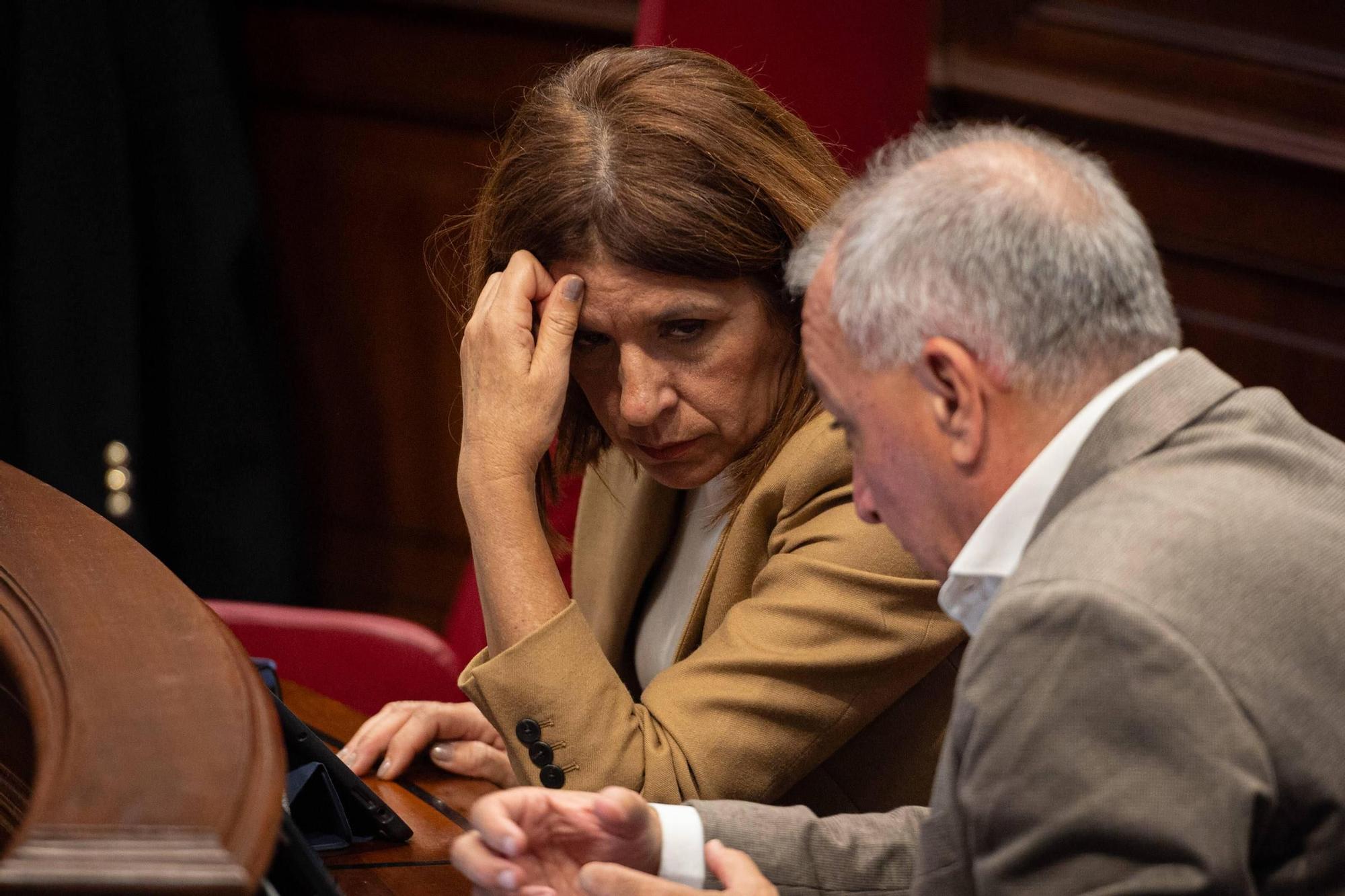 Pleno del Parlamento