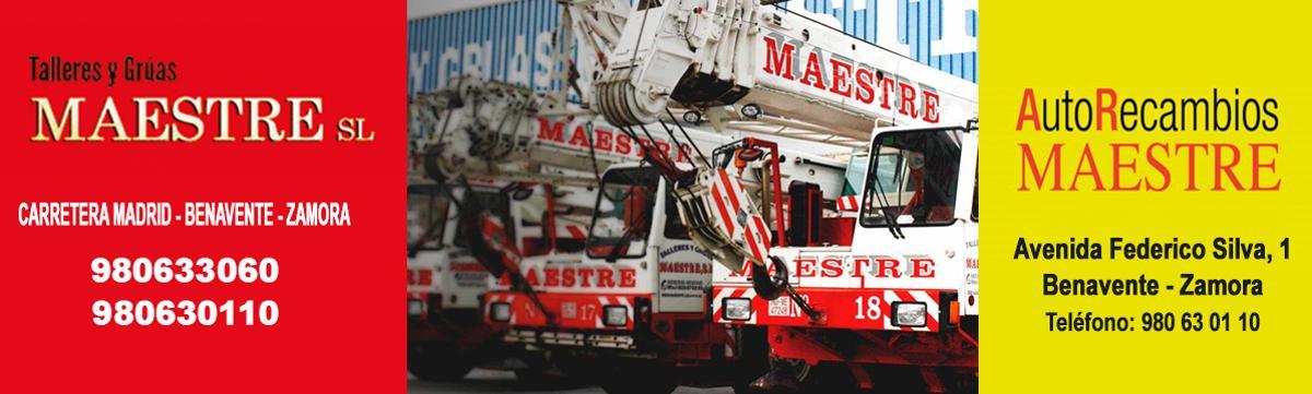 Gruas Maestre