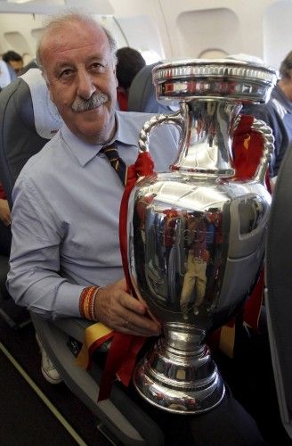 Cinco años de Vicente del Bosque en la selección española.