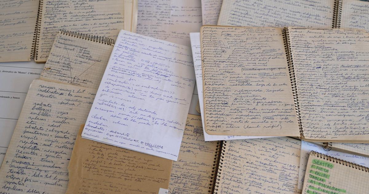 Los cuadernos donde Saludas va recopilando las palabras.