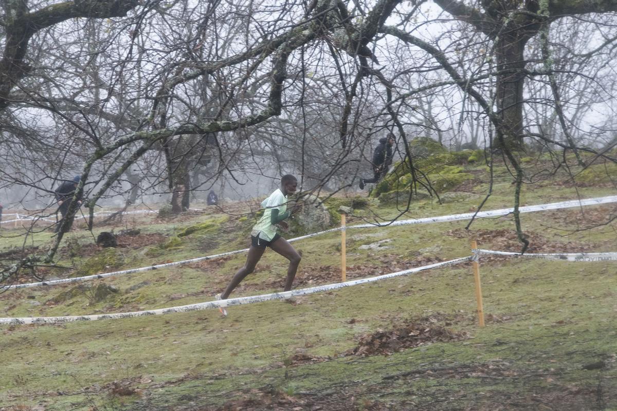 Fotogalería | Las imágenes del Gran Premio Cáceres de Campo a Través