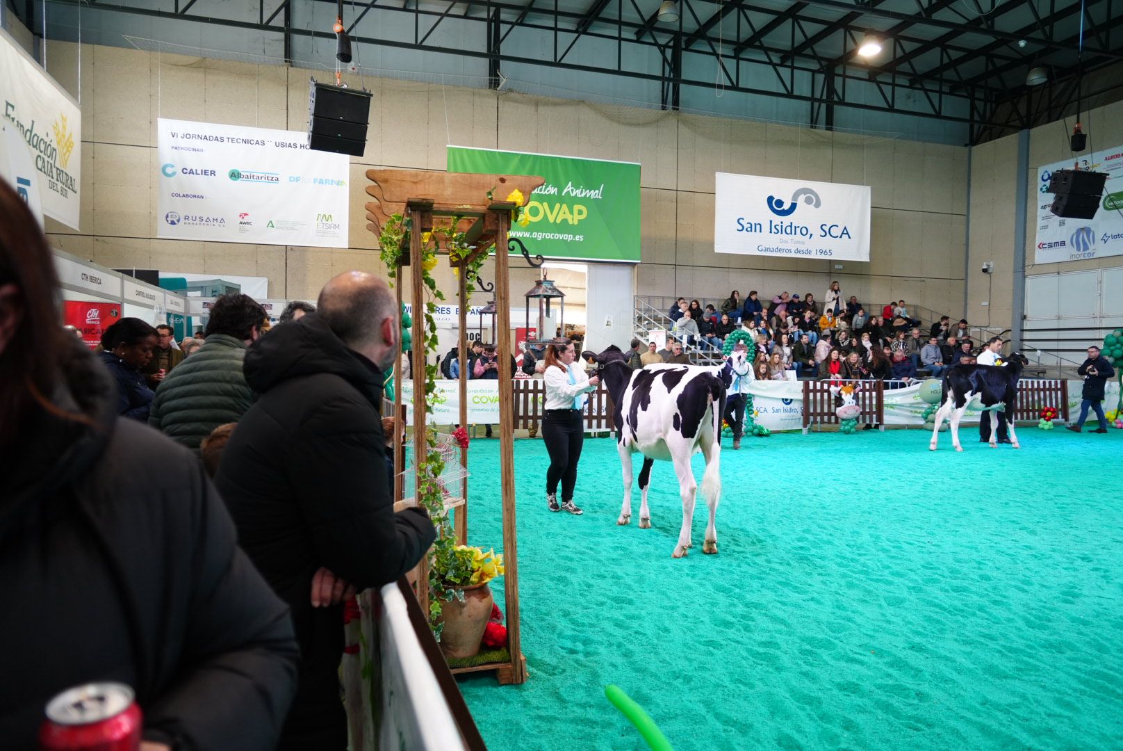 El Concurso Morfológico 'Usías Holstein' de Dos Torres, en imágenes