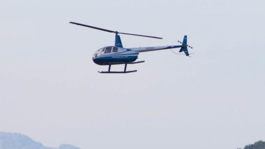 Vögel in Gefahr: Umweltschützer auf Mallorca wollen Hubschrauberlandeplatz auf Privatfinca in Andratx stoppen